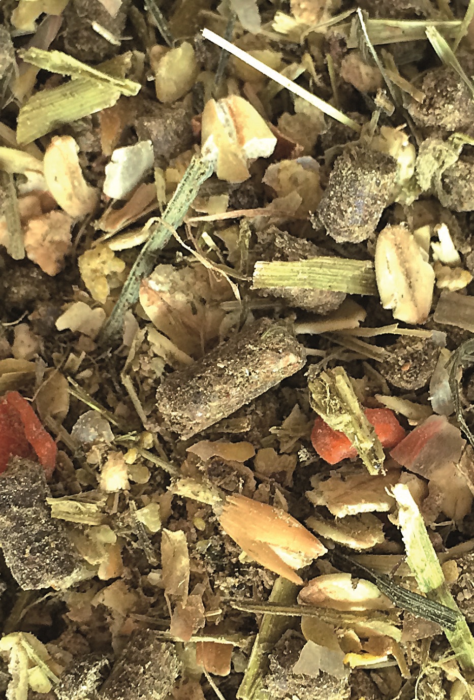 Kräutermischung Mischung aus getrockneten Kräutern und Pflanzenmaterialien, in verschiedenen Farben und Texturen.