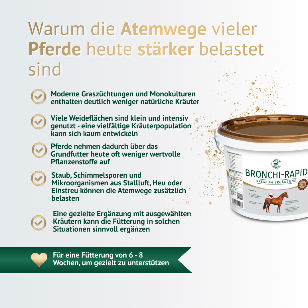 Infografik über Ursachen belasteter Atemwege bei Pferden wie Staub, Schimmelsporen und fehlende Kräuter im Grundfutter