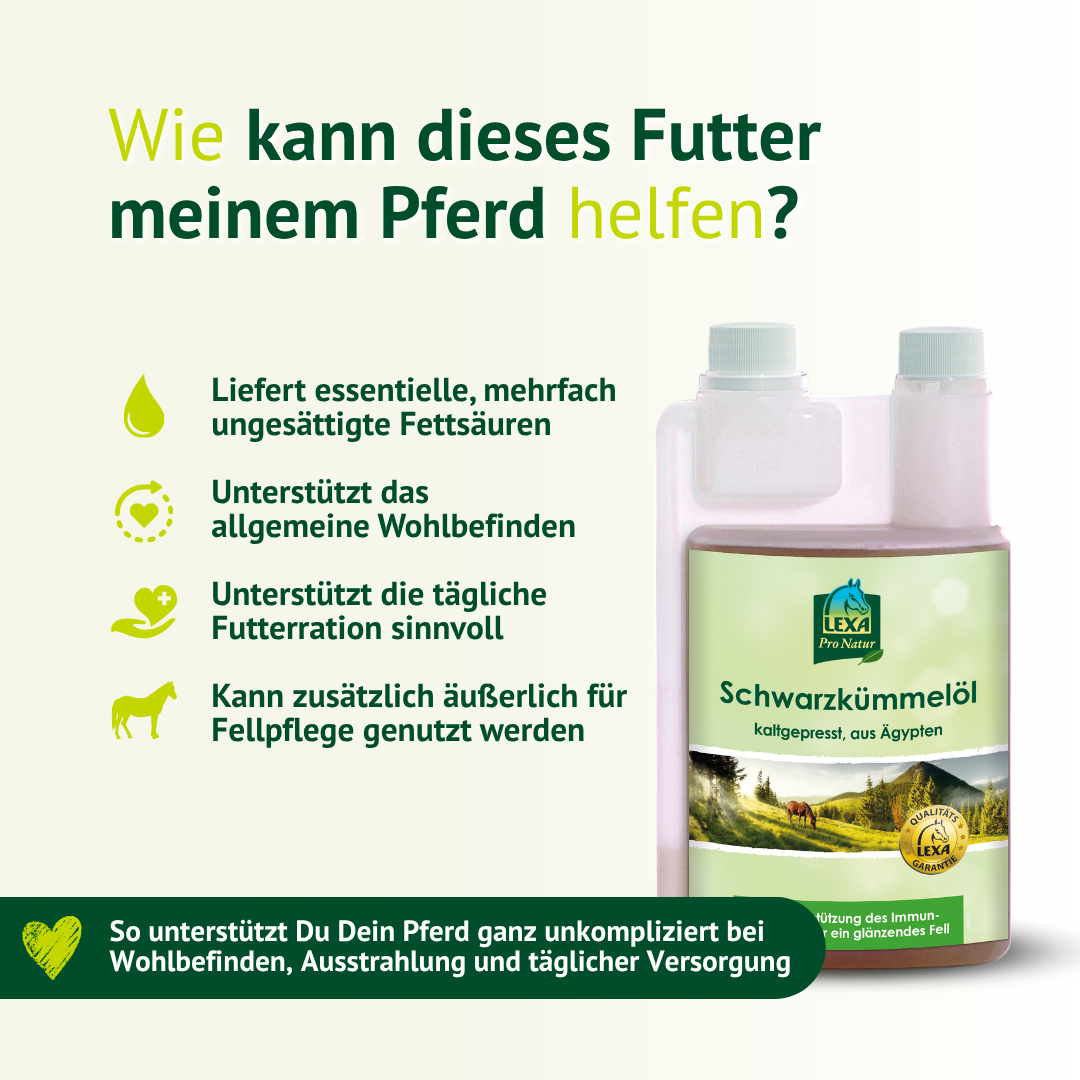Schwarzkümmelöl Pferd Wirkung – essentielle Fettsäuren für Wohlbefinden, Fellpflege und tägliche Fütterung