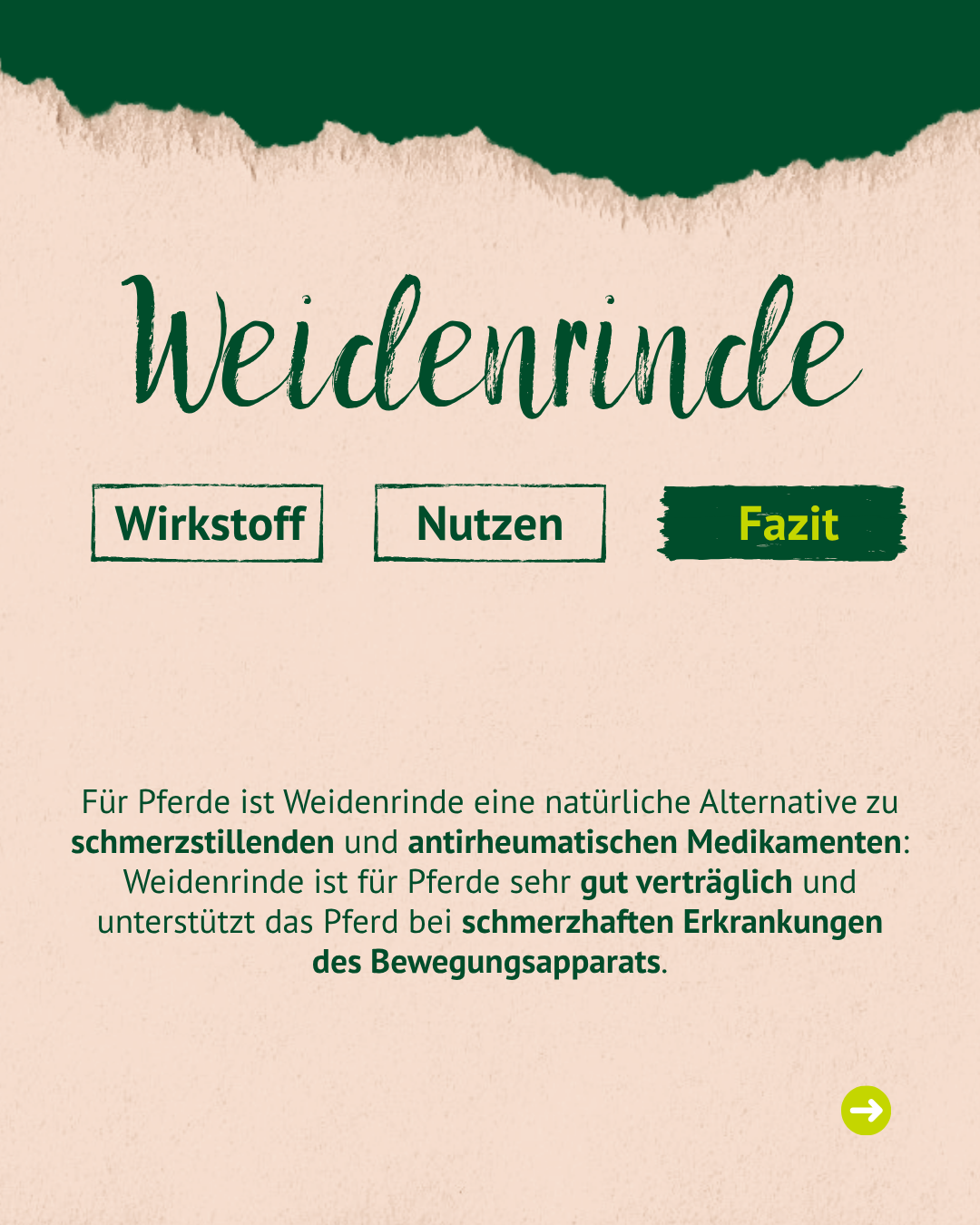 Überschrift 'Weidenrinde' mit drei Schaltflächen 'Wirkstoff', 'Nutzen', 'Fazit'. Text erklärt Weidenrinde als natürliche Alternative für Pferde bei schmerzhaften Bewegungsapparaterkrankungen. Überschrift 'Weidenrinde' mit drei Schaltflächen 'Wirkstoff', 'Nutzen', 'Fazit'. Text erklärt Weidenrinde als natürliche Alternative für Pferde bei schmerzhaften Bewegungsapparaterkrankungen.
