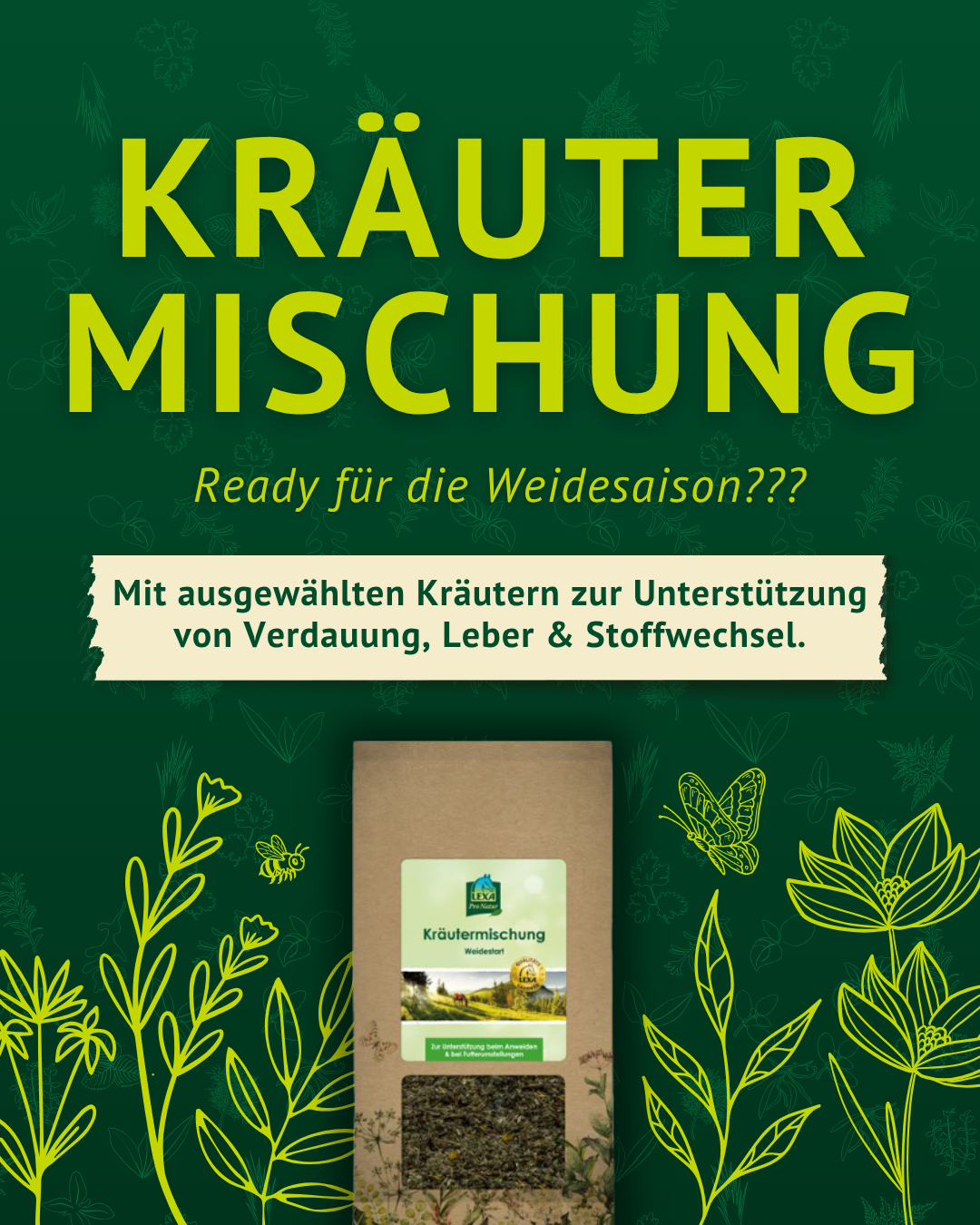 Kräutermischung Winter für Pferde – natürliche Unterstützung in der kalten Jahreszeit