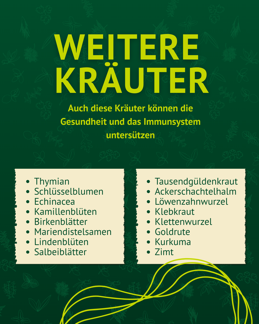 Liste mit weiteren Kräutern auf grünem Hintergrund, darunter Thymian, Echinacea, Kamillenblüten, Kurkuma und Zimt.