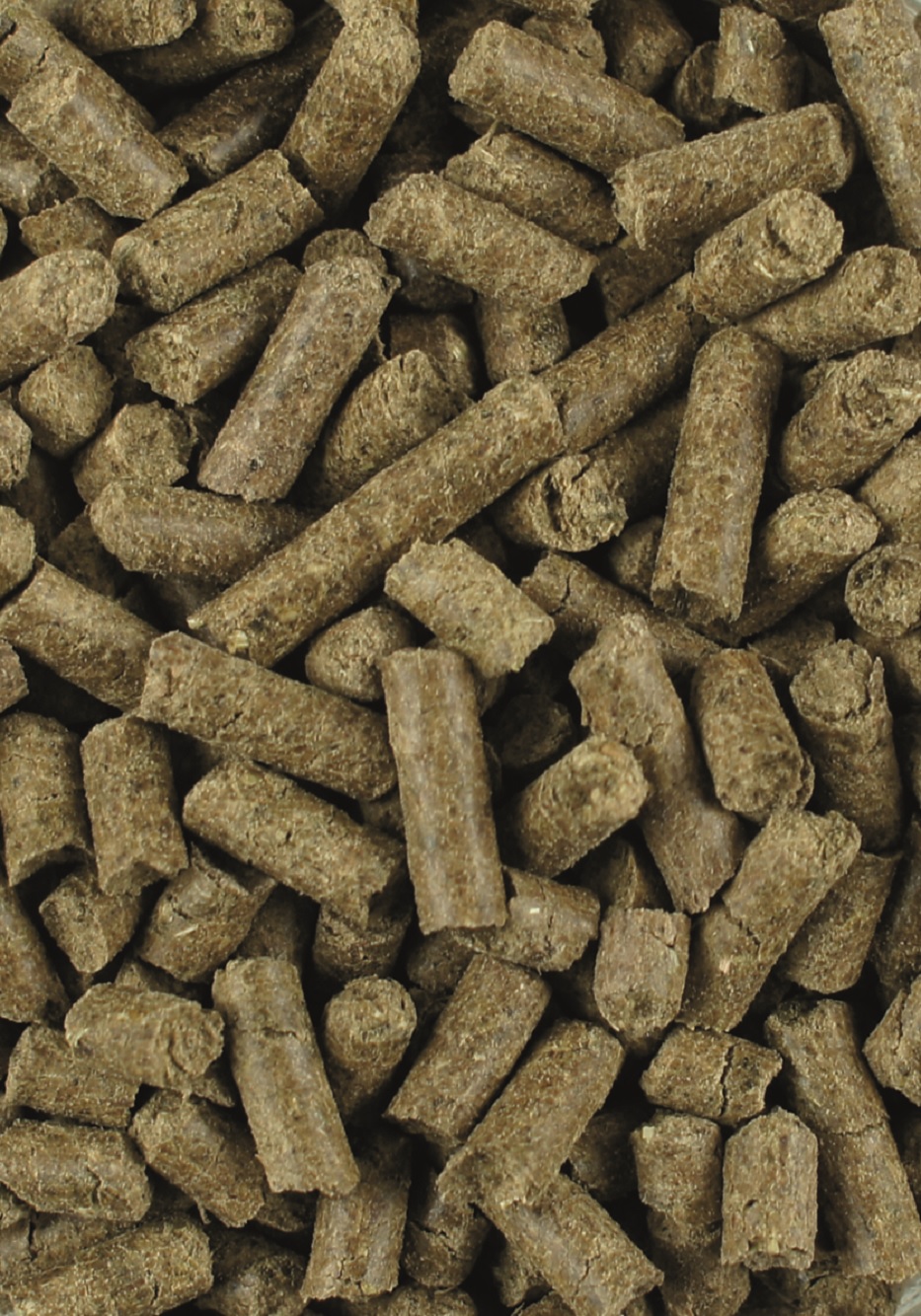 Teufelskralle + Ingwer Pellets Braune, kleine Pellets