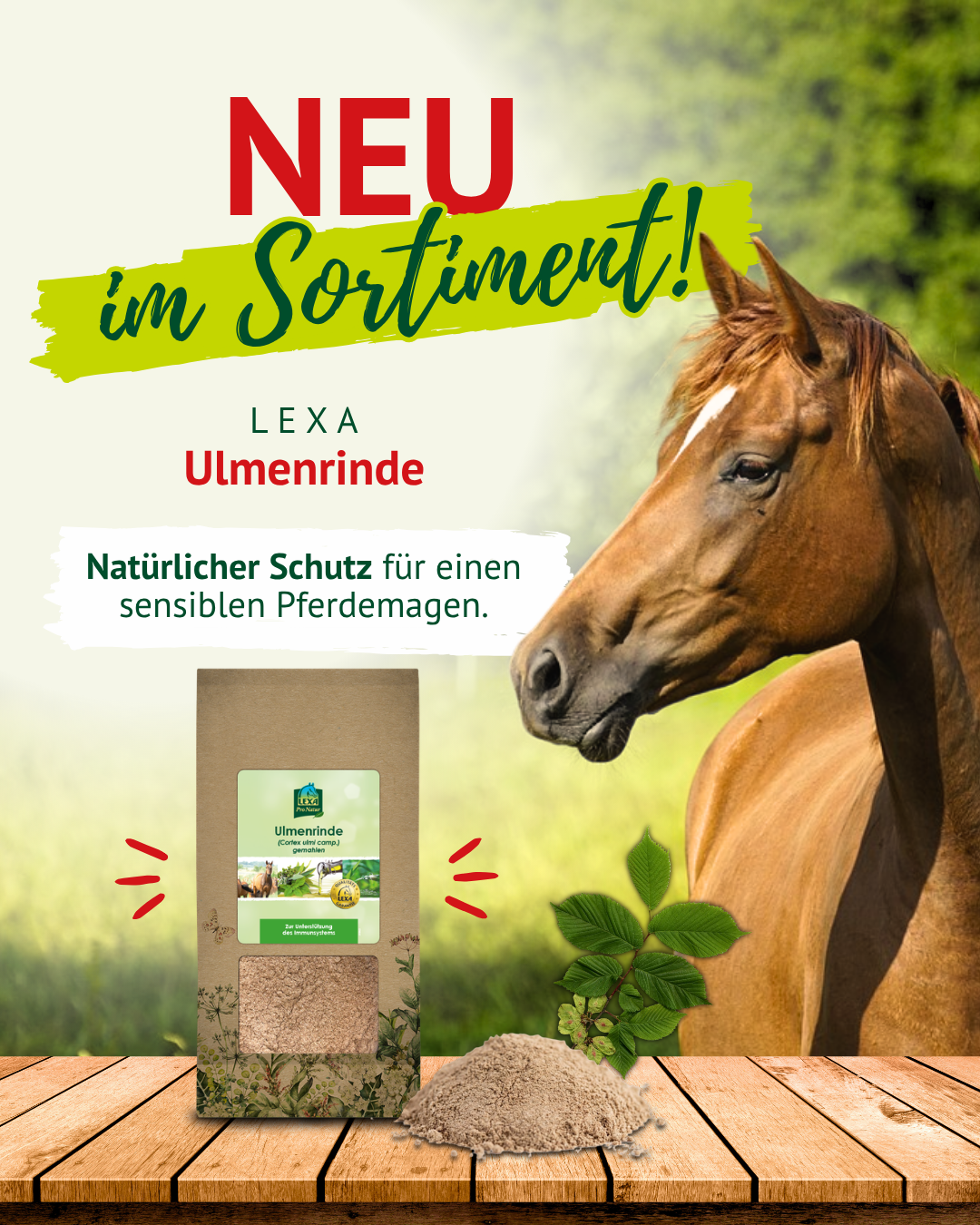 Produktgrafik für LEXA Ulmenrinde: Ein Pferd steht neben einer Packung gemahlener Ulmenrinde, Ulmenblättern und Pulver. Text: „Neu im Sortiment – Natürlicher Schutz für einen sensiblen Pferdemagen.“