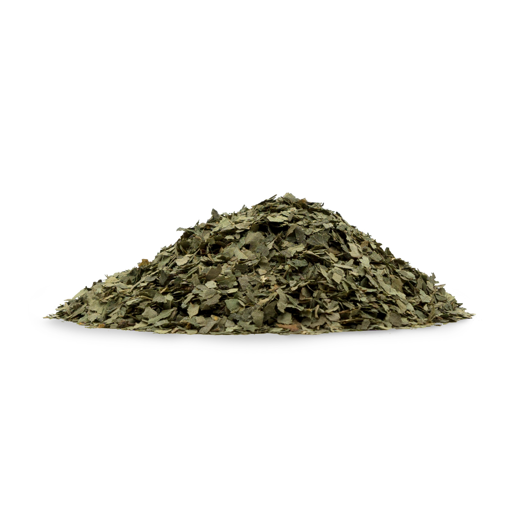 Getrocknete Birkenblätter Eine kleine Menge von getrockneten Birkenblättern, auf weißem neutralen Hintergrund.