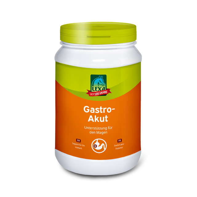 Gastro-Akut