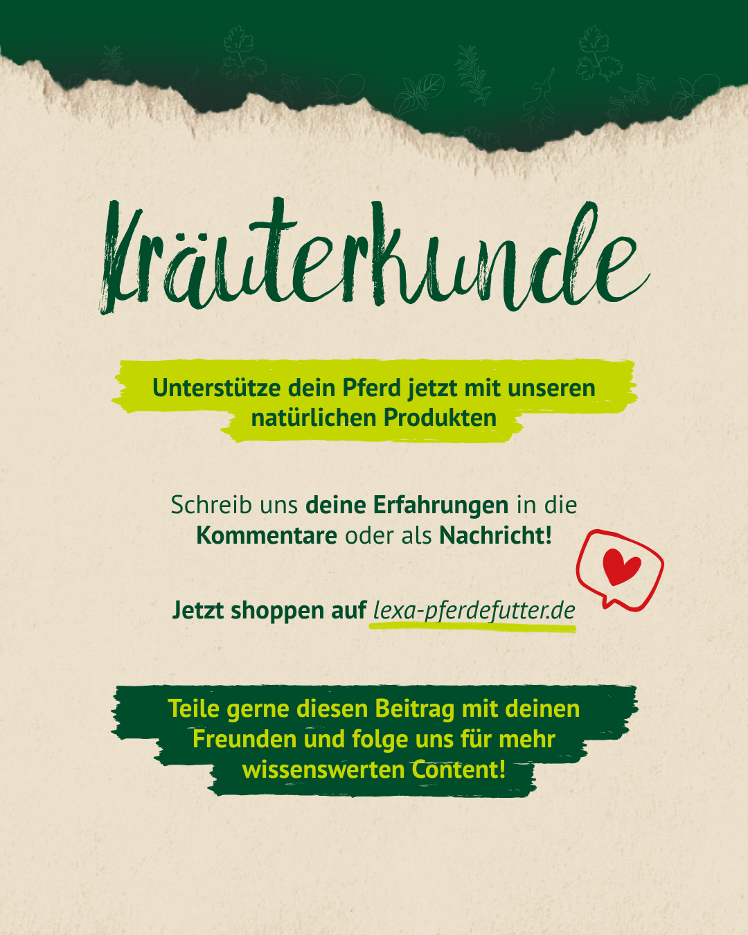 Abschlussgrafik Kräuterkunde mit Hinweis auf natürliche Produkte für Pferde und Call-to-Action