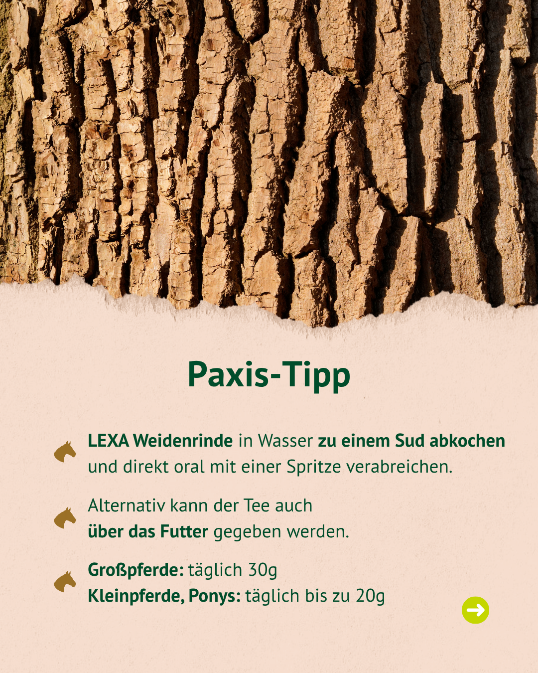 Nahaufnahme von brauner Weidenrinde mit unregelmäßiger, rissiger Oberfläche. Darunter Text mit dem Titel 'Paxis-Tipp' und Anwendungshinweisen zu LEXA Weidenrinde für Pferde. Nahaufnahme von brauner Weidenrinde mit unregelmäßiger, rissiger Oberfläche. Darunter Text mit dem Titel 'Paxis-Tipp' und Anwendungshinweisen zu LEXA Weidenrinde für Pferde.