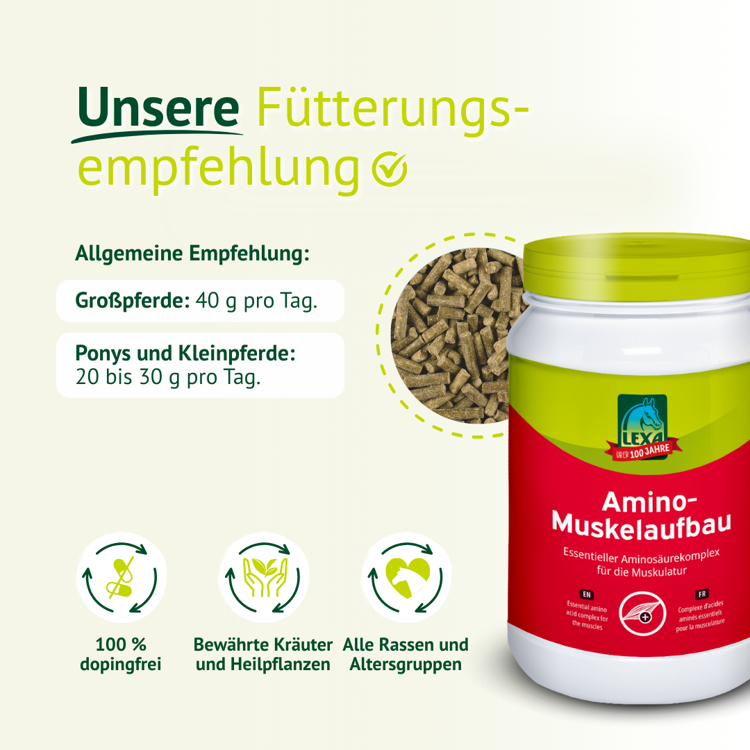 Fütterungsempfehlung für LEXA Amino-Muskelaufbau Pellets mit Dosierangaben für Großpferde und Ponys