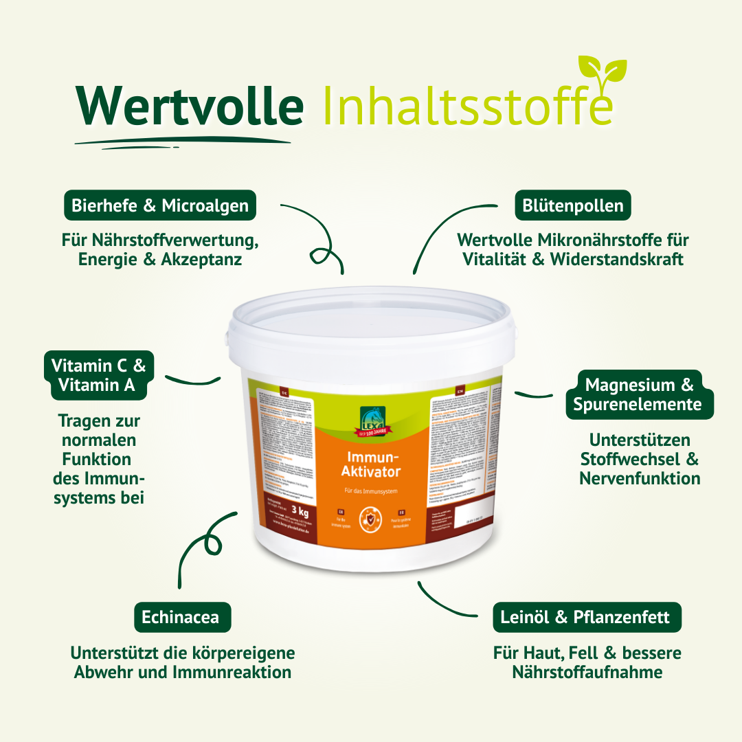 Detailansicht der Wirkstoffe: Bierhefe, Algen, Blütenpollen, Vitamine A/C, Magnesium, Echinacea und Leinöl.