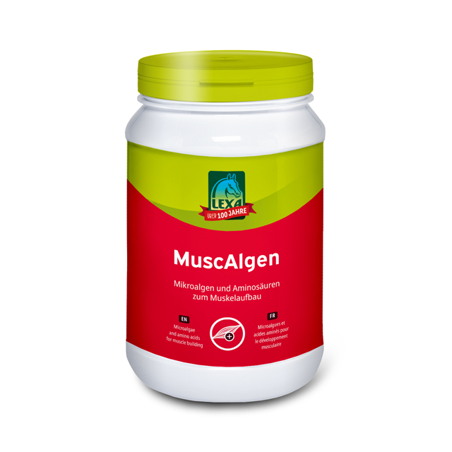 MuscAlgen