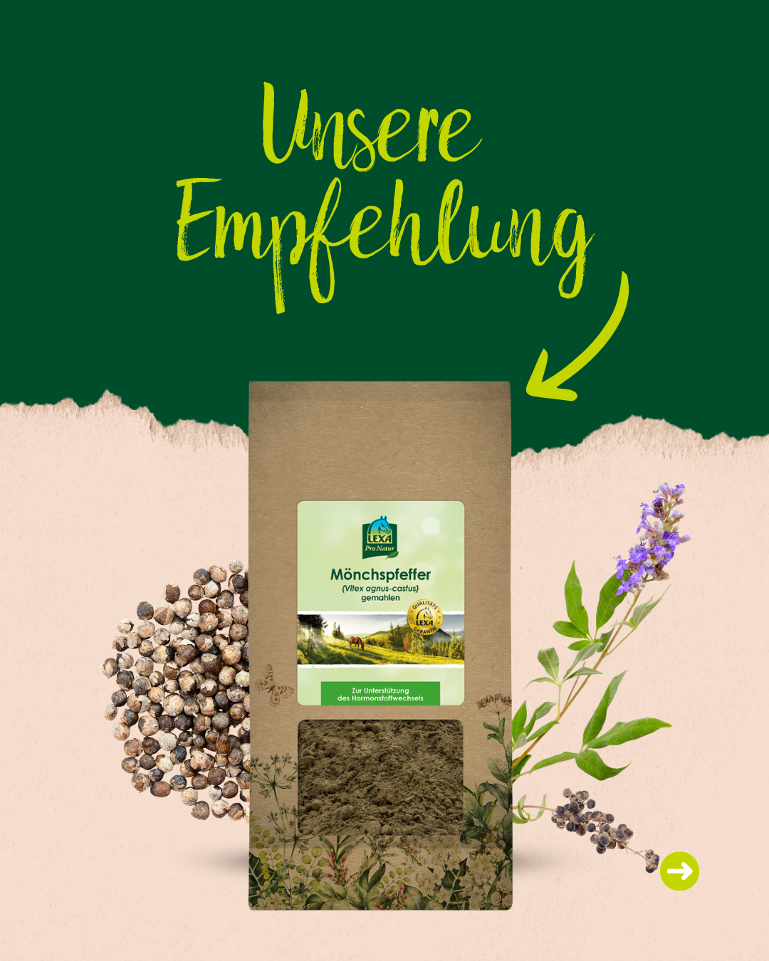 Produktempfehlung: Tüte "Mönchspfeffer (Vitex agnus-castus) gemahlen" von LEXA zur Unterstützung des Hormonhaushalts. Produktempfehlung: Tüte "Mönchspfeffer (Vitex agnus-castus) gemahlen" von LEXA zur Unterstützung des Hormonhaushalts.
