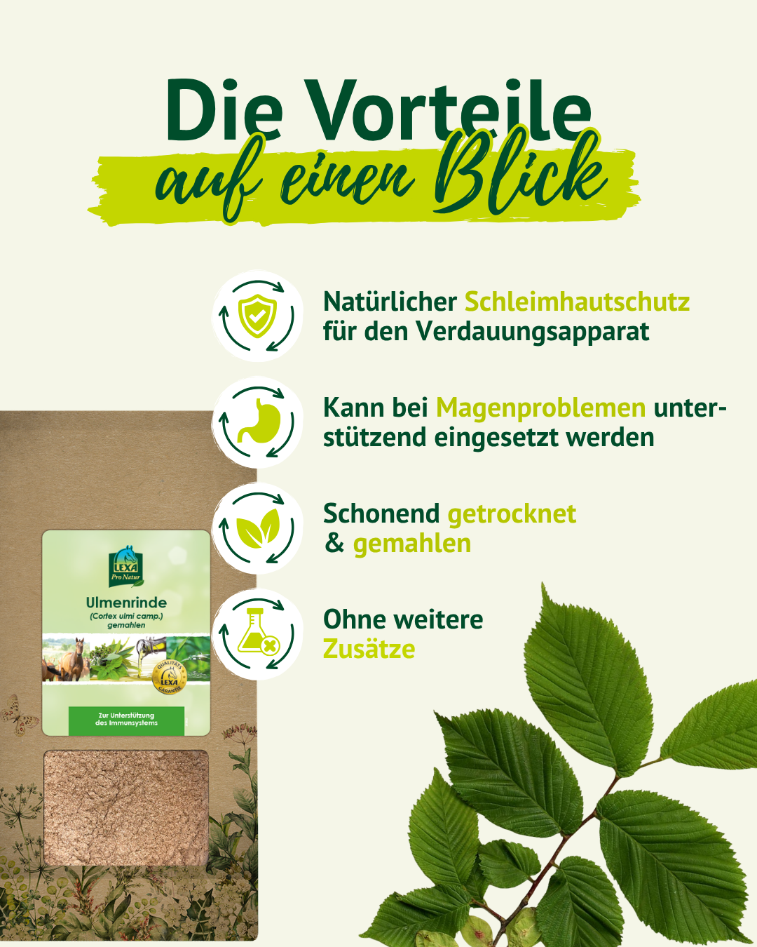 Vorteilsübersicht zur LEXA Ulmenrinde mit Produktverpackung, Icons und Ulmenblättern. Genannte Vorteile: natürlicher Schleimhautschutz, Unterstützung bei Magenproblemen, schonend getrocknet und gemahlen, ohne weitere Zusätze.
