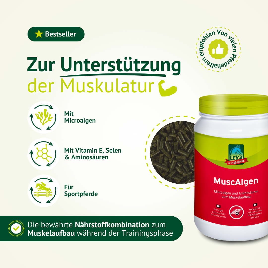 LEXA MuscAlgen Ergänzungsfuttermittel für Pferde mit Mikroalgen, Pellets und Produktvorteilen zur Muskelergänzung