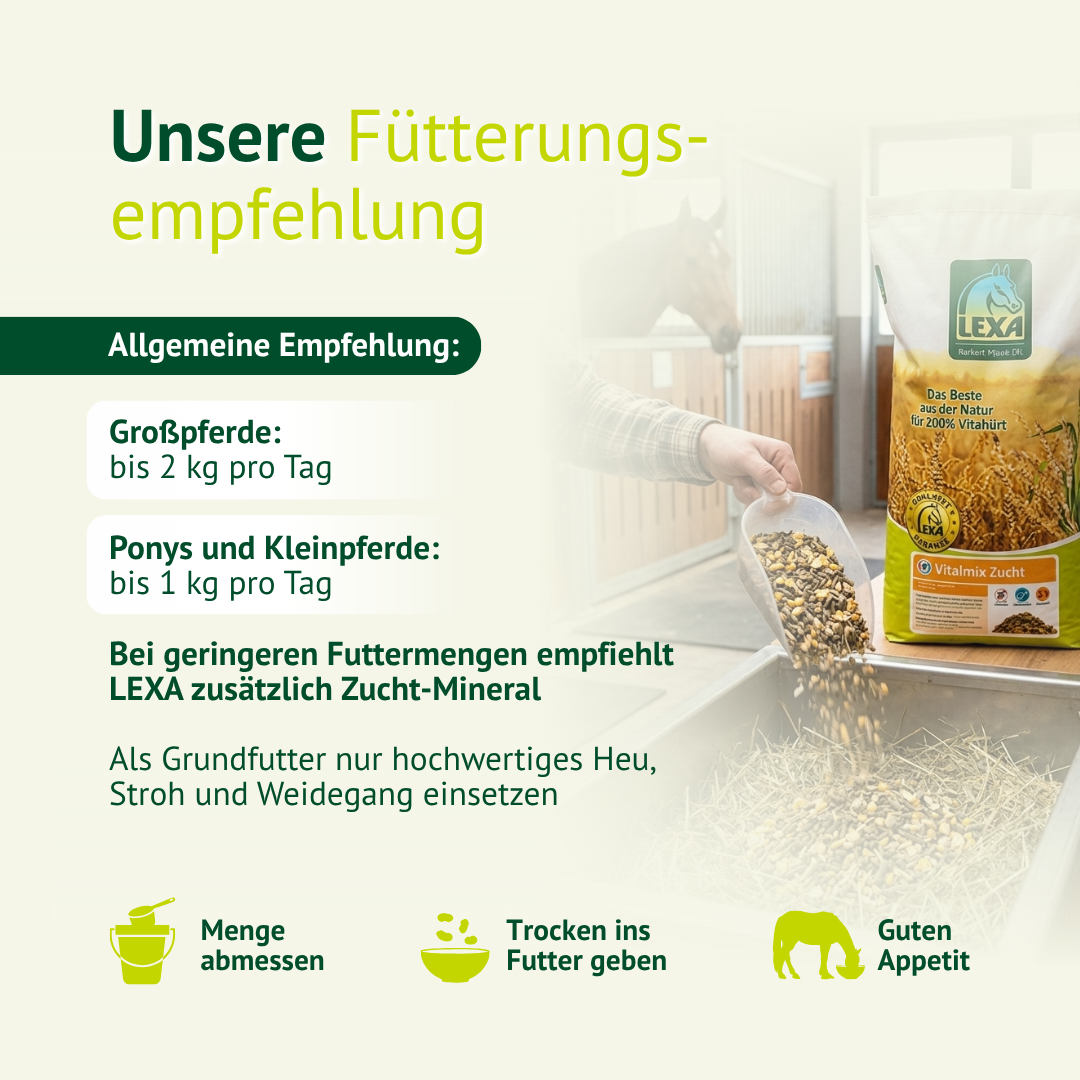 Fütterungsempfehlung für Pferde – richtige Dosierung von Zuchtfutter