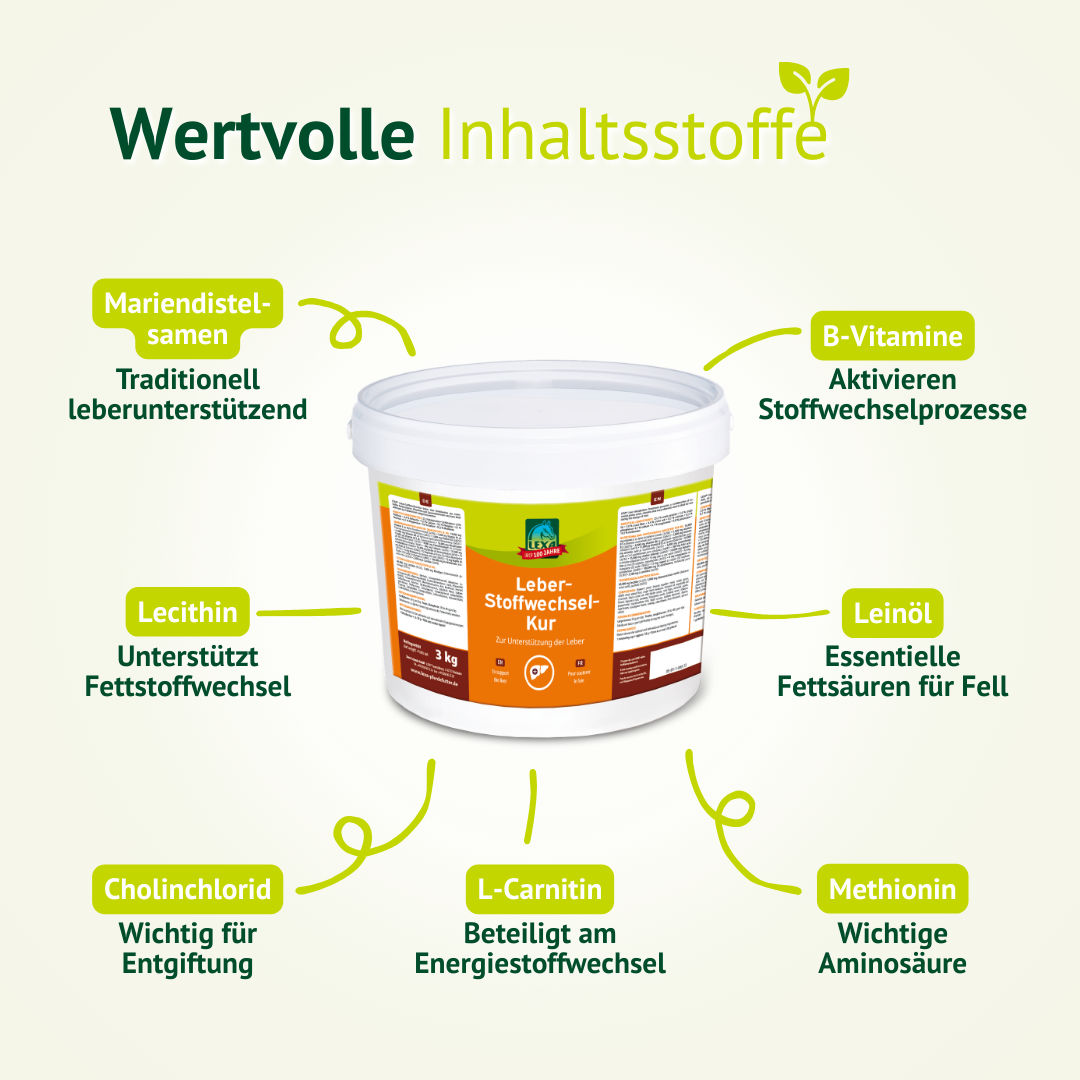 Übersicht der Inhaltsstoffe der LEXA Leber-Stoffwechsel-Kur mit Mariendistel, Lecithin, Cholinchlorid, L-Carnitin, Leinsamen, Methionin und B-Vitaminen.