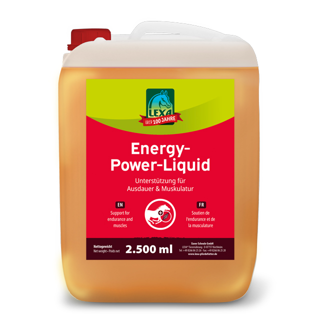 LEXA Energy-Power-Liquid 2500 ml LEXA Energy-Power-Liquid, 2500 ml, Unterstützung für Ausdauer und Muskulatur, orangefarbene Flüssigkeit in einem großen Kanister (Kunststoff).