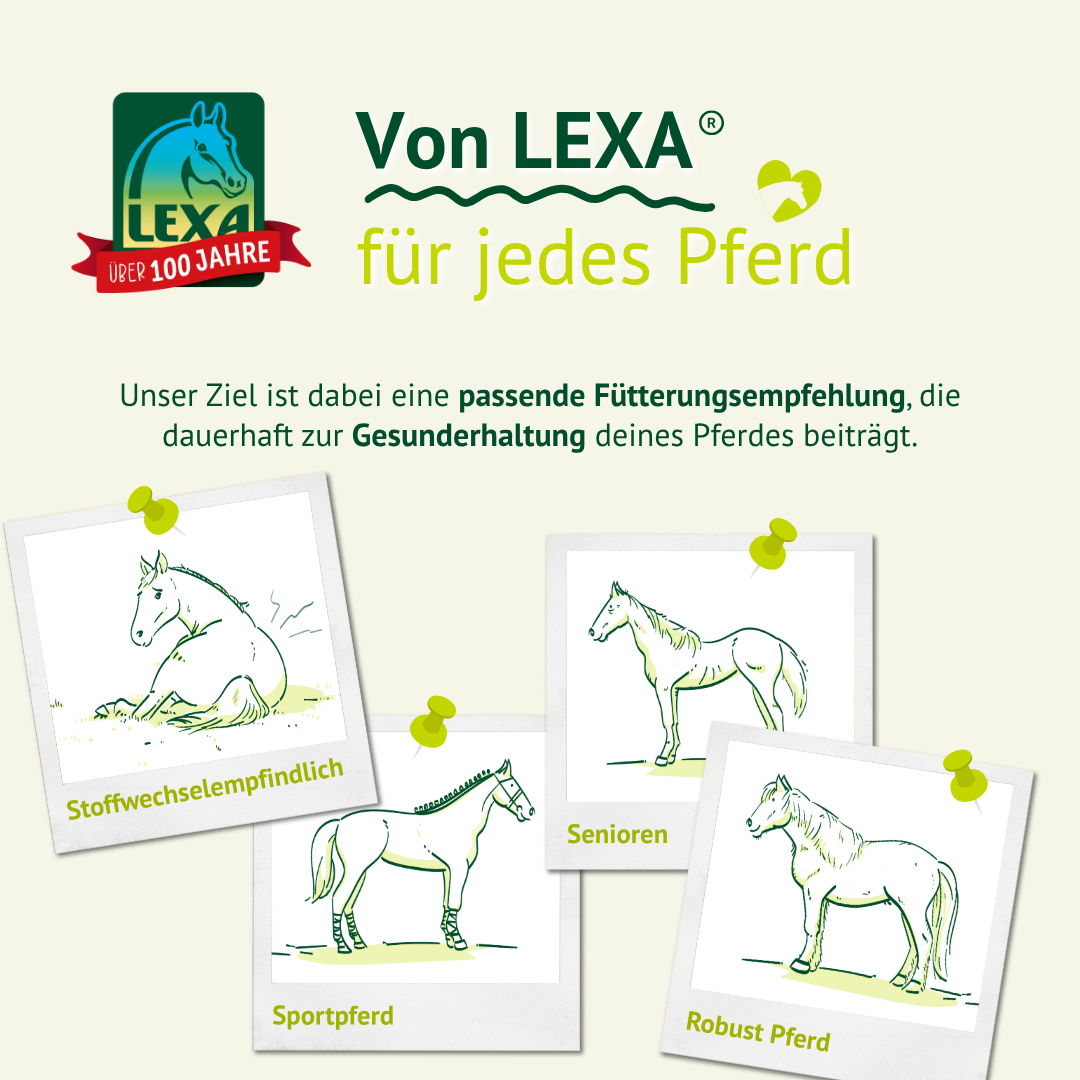 Werbung für LEXA Pferdefutter. Das Ziel ist eine passende Fütterungsempfehlung, die zur Gesunderhaltung des Pferdes beiträgt. Vier Fotos zeigen verschiedene Pferdetypen: Stoffwechselempfindlich, Sportpferd, Senioren, Robust Pferd.