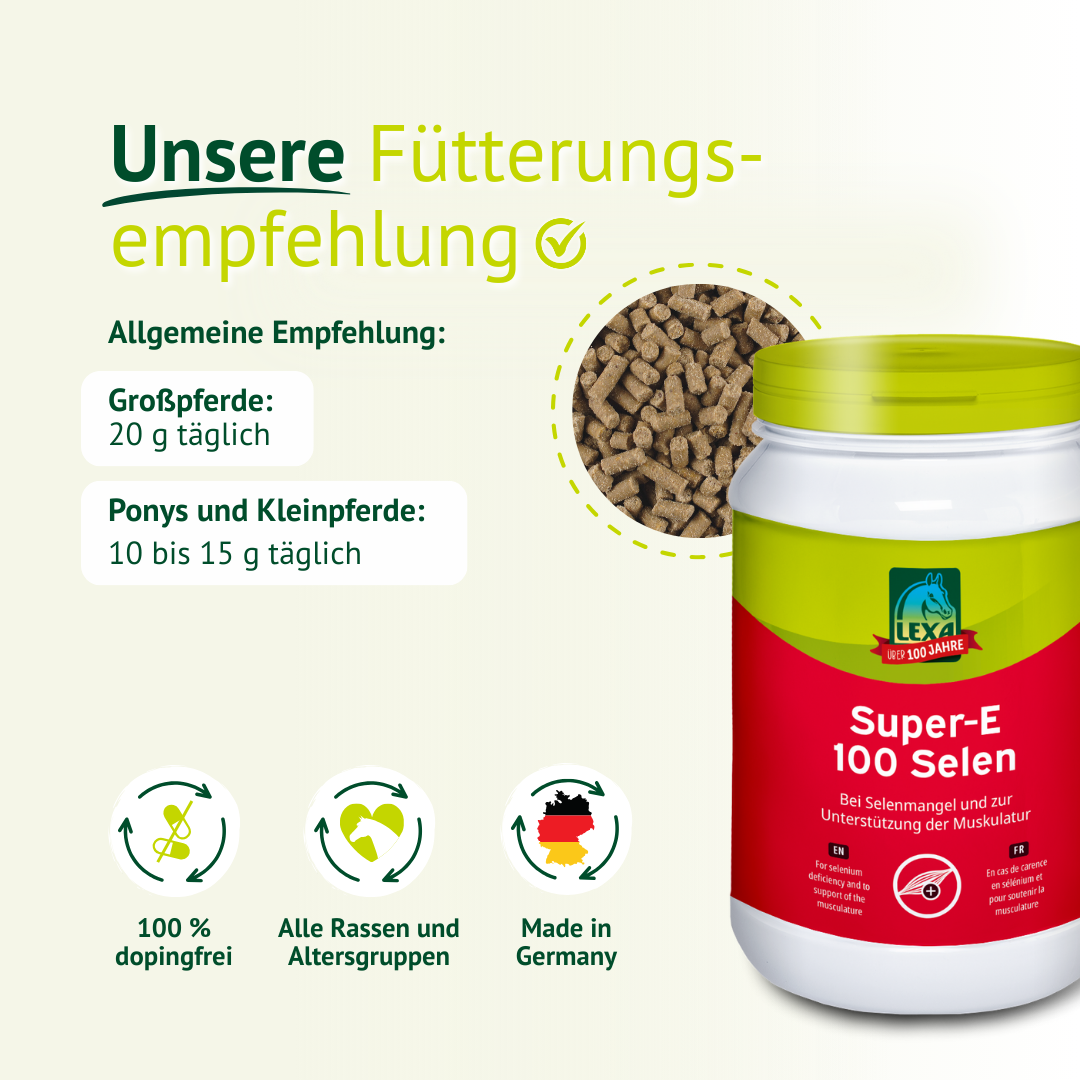 Fütterungsempfehlung für LEXA Super-E 100 Selen mit Pellets und Dosierangaben für verschiedene Pferdegrößen