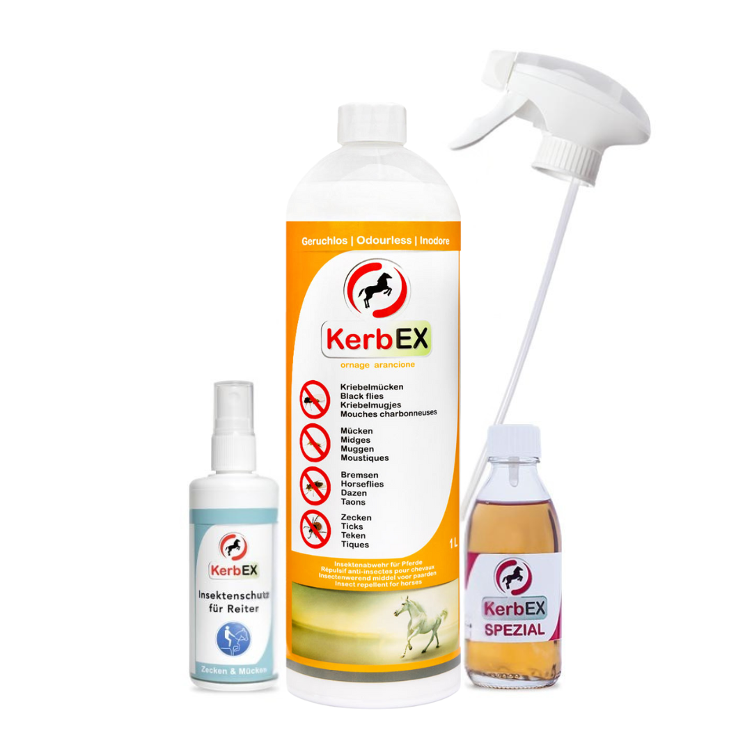 KerbEX Kombi-Set | orange