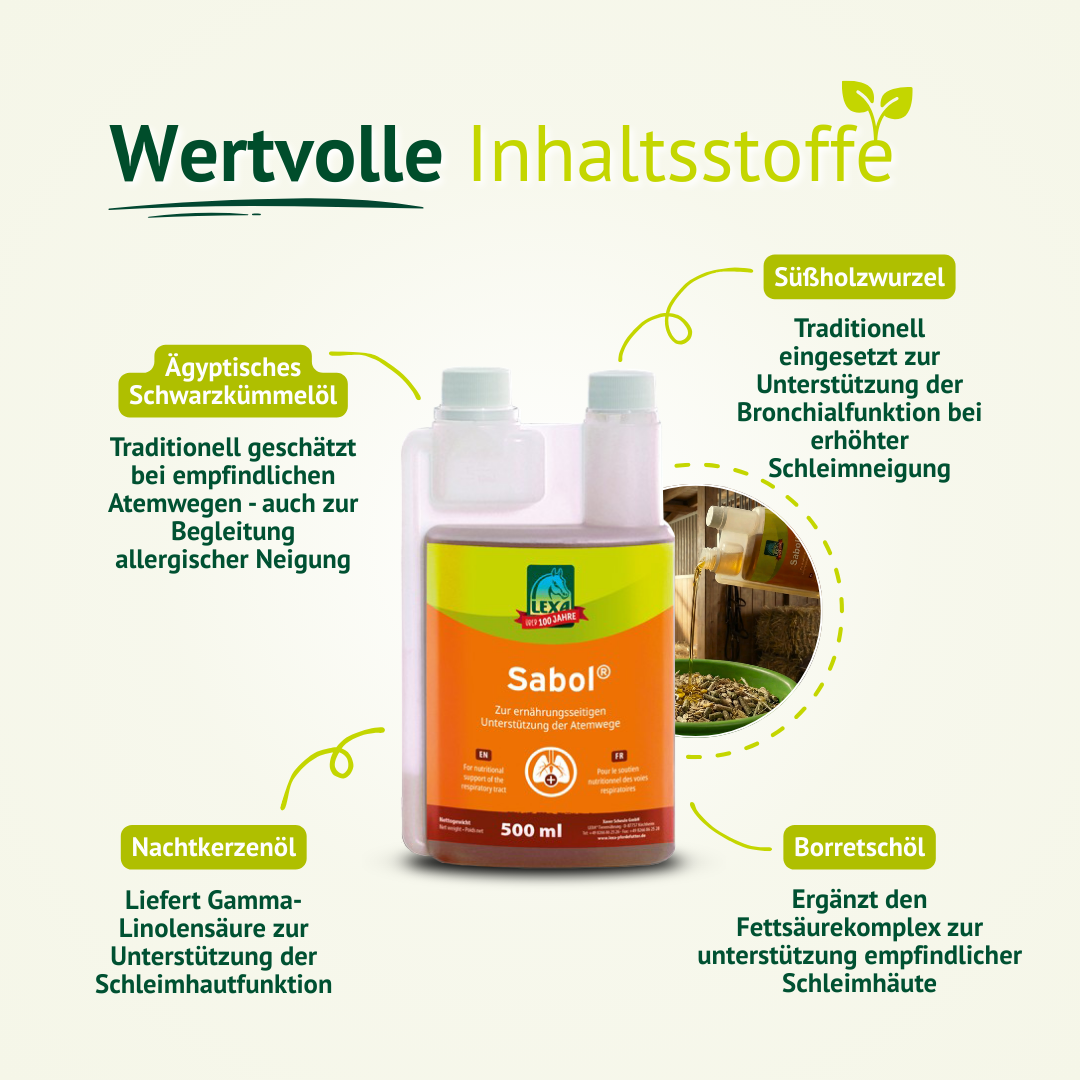 Inhaltsstoffe von Sabol®: Ägyptisches Schwarzkümmelöl, Süßholzwurzel, Nachtkerzenöl und Borretschöl zur Unterstützung der Bronchialfunktion.