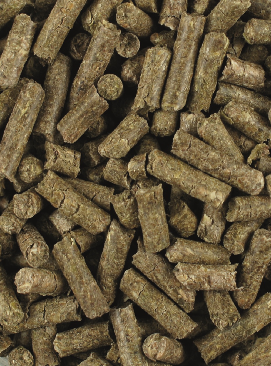 Pellets Braune, kleine Pellets