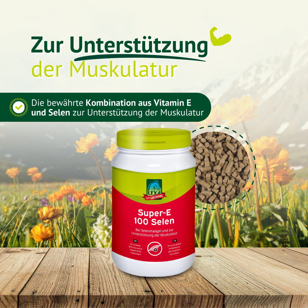 LEXA Super-E 100 Selen Dose auf Holztisch vor Blumenwiese mit Hinweis zur Unterstützung der Muskulatur