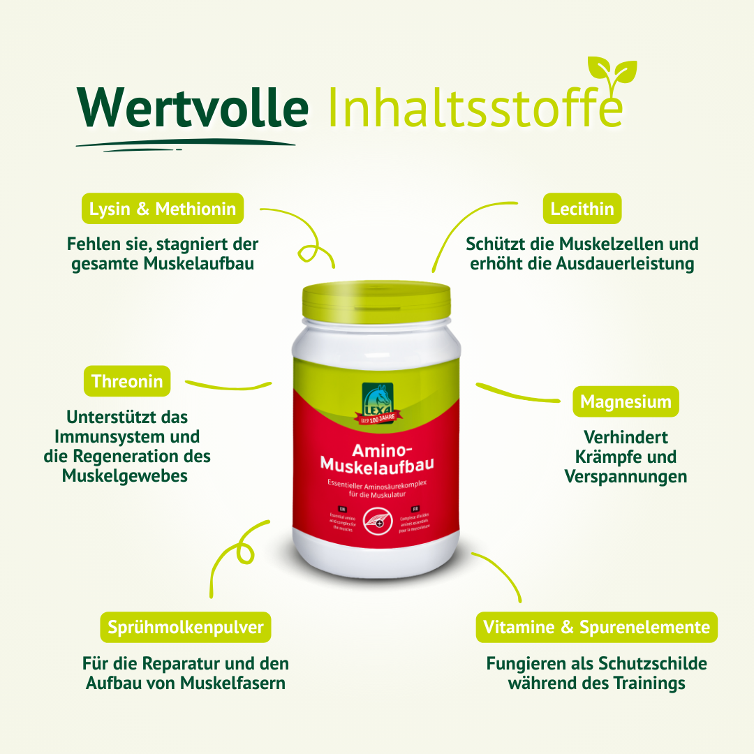 Darstellung der Inhaltsstoffe von LEXA Amino-Muskelaufbau mit Aminosäuren, Vitaminen und Mineralstoffen
