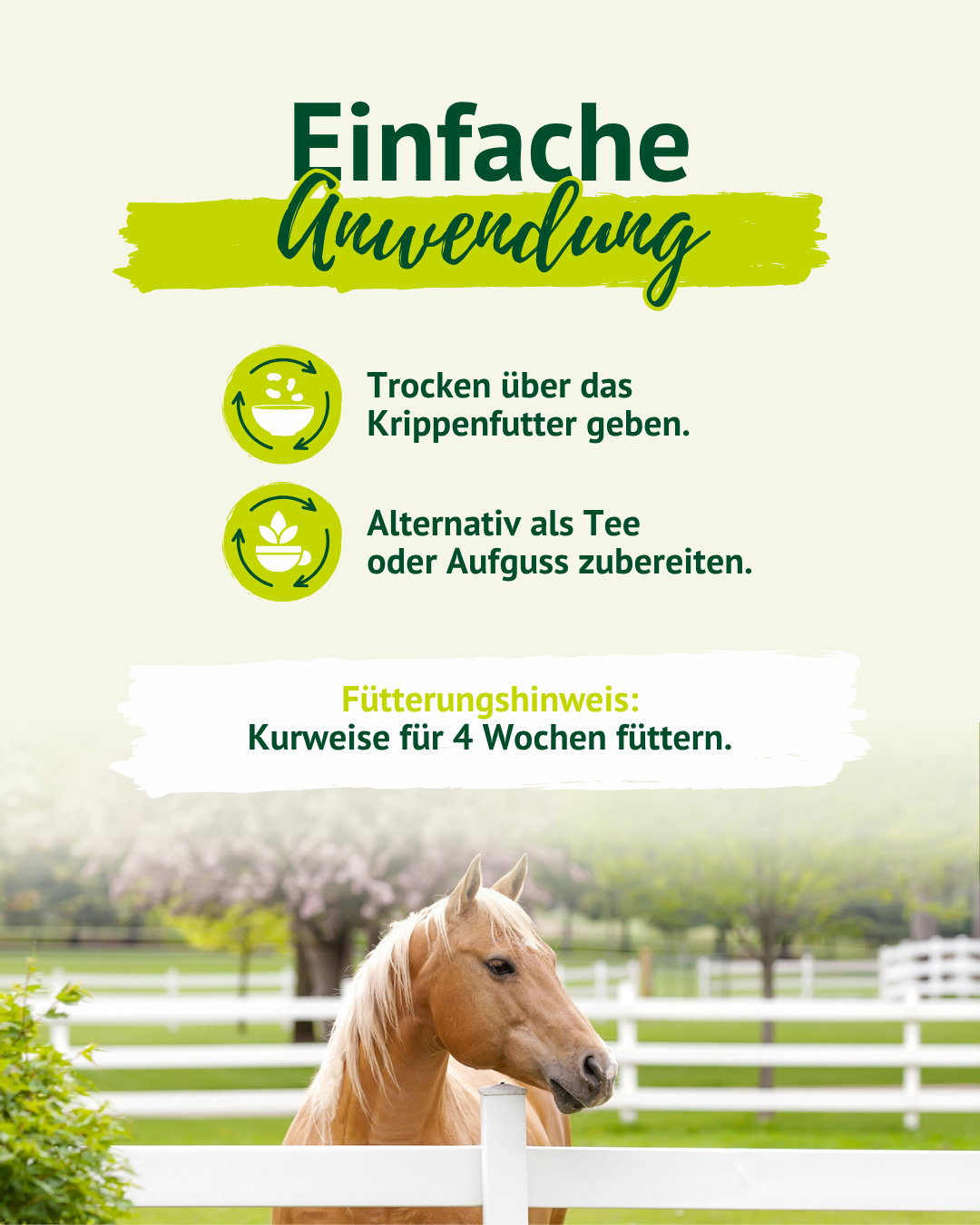 Anwendungsgrafik zur LEXA Ulmenrinde mit Pferd am Zaun. Hinweise: trocken über das Krippenfutter geben oder alternativ als Tee bzw. Aufguss zubereiten. Fütterung kurweise für 4 Wochen.