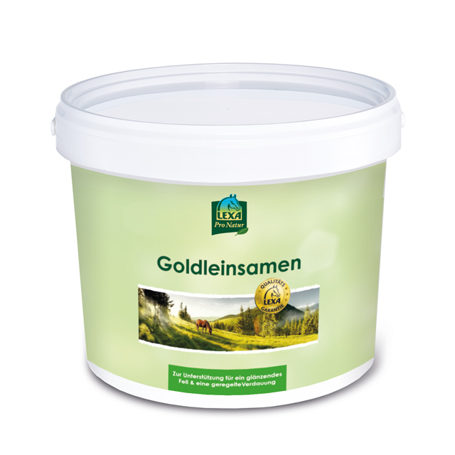 Goldleinsamen