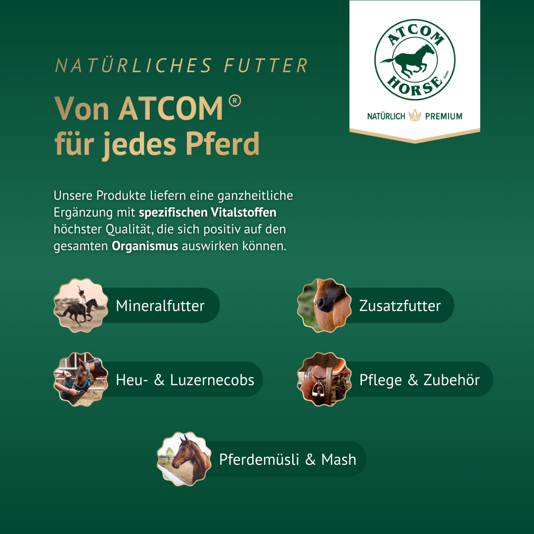 Natürliches Futter von ATCOM – Premium Mineralfutter, Zusatzfutter und Pflegeprodukte für dein Pferd