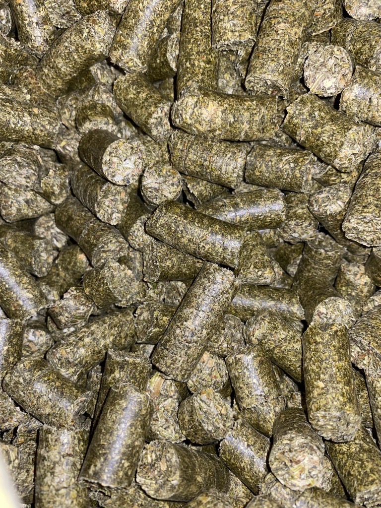 Produktbild von vielen Esparesette Pellets in einer runden länglichen Form