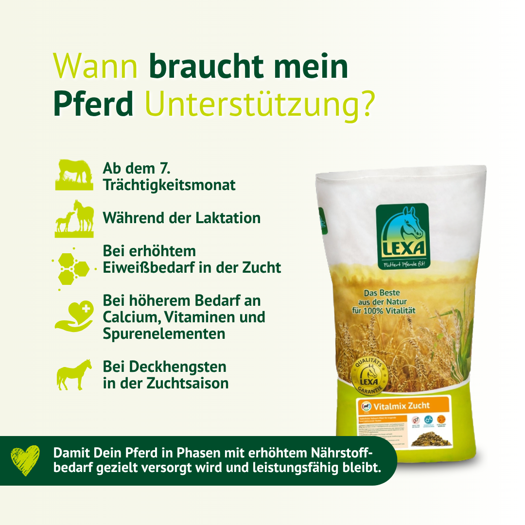 Wann braucht dein Pferd Unterstützung – Futter für Trächtigkeit, Laktation und Zucht