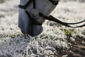 Training in der Winterpause