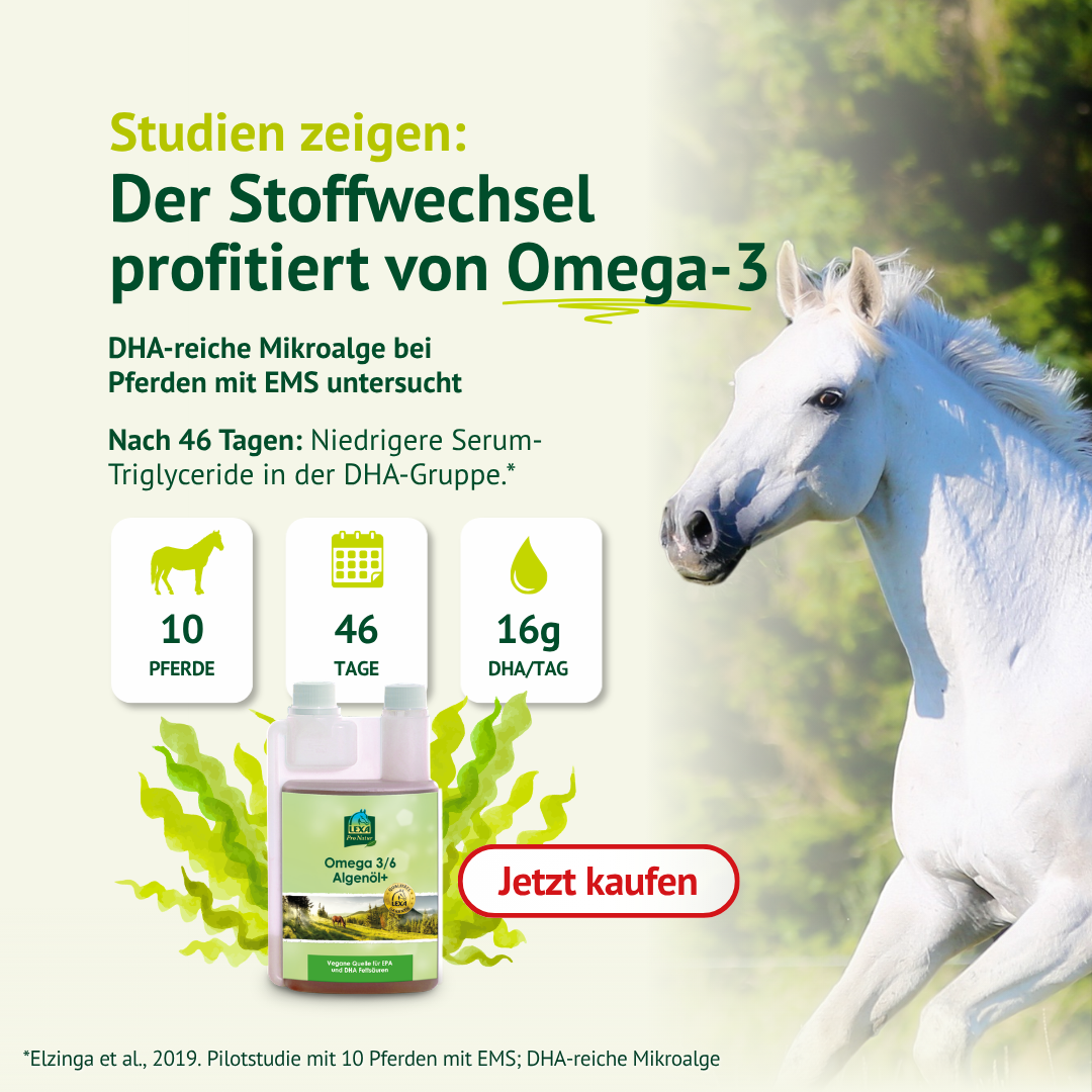 LEXA Algenöl+ neben einem weißen Pferd und illustrierten Algen. Thema: Studie zu DHA bei Pferden mit EMS.