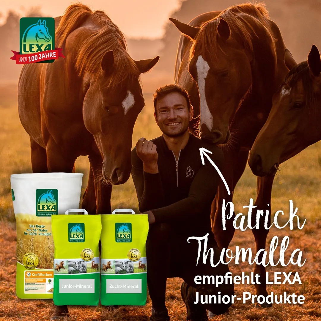 Patrick Thomalla empfiehlt LEXA Junior-Produkte