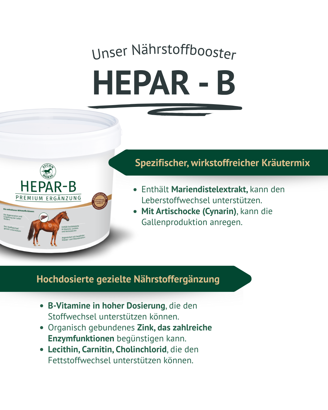 Produktbild von ATCOM HEPAR-B Ergänzungsfutter für Pferde mit Fokus auf Mariendistel-Extrakt und Artischocke zur Unterstützung des Leberstoffwechsels.