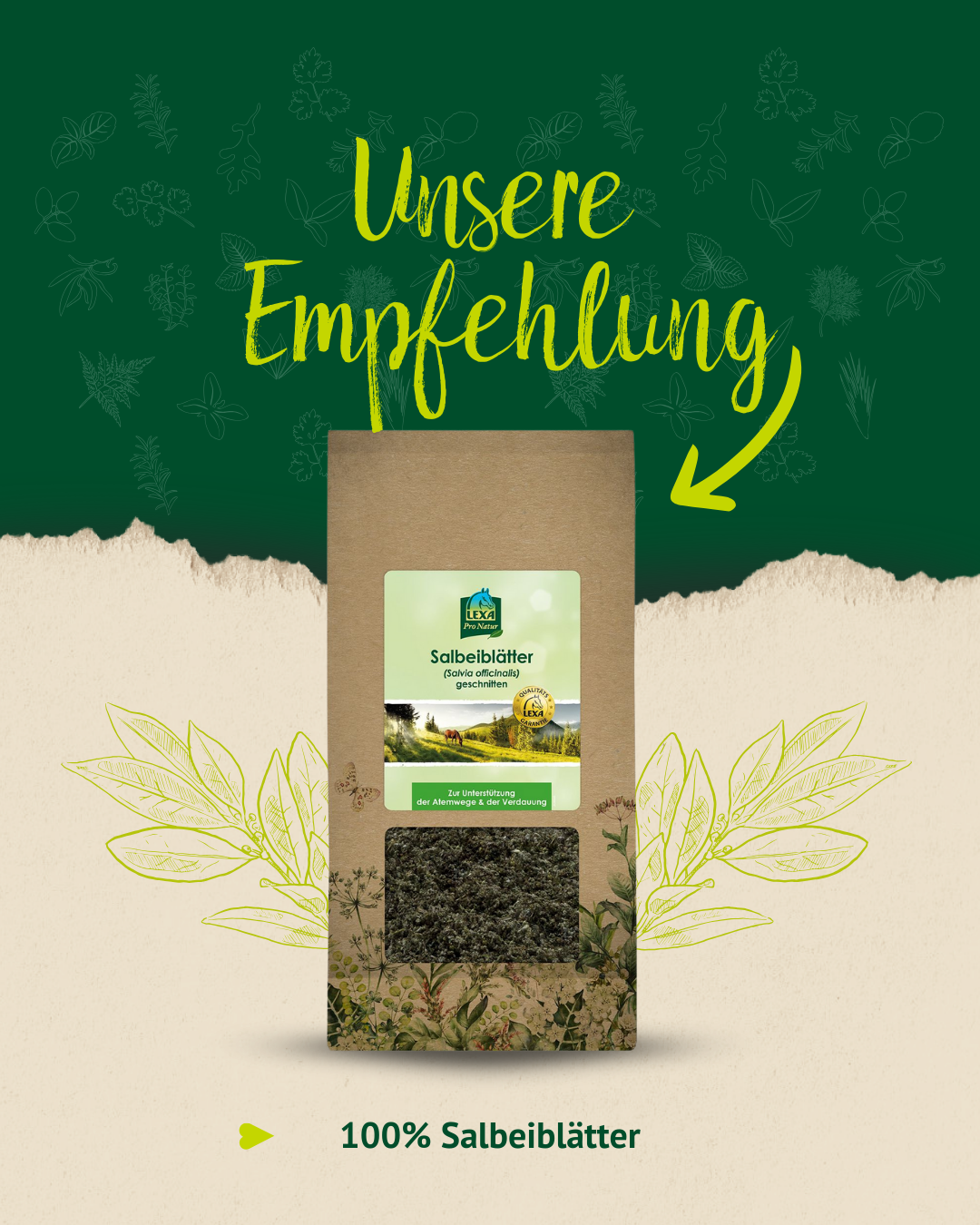 Produktempfehlung von LEXA: „Unsere Empfehlung“. Gezeigt wird eine Packung „Salbeiblätter (Salvia officinalis) geschnitten“ aus 100 % reinen Kräutern zur Unterstützung der Atemwege und Verdauung.