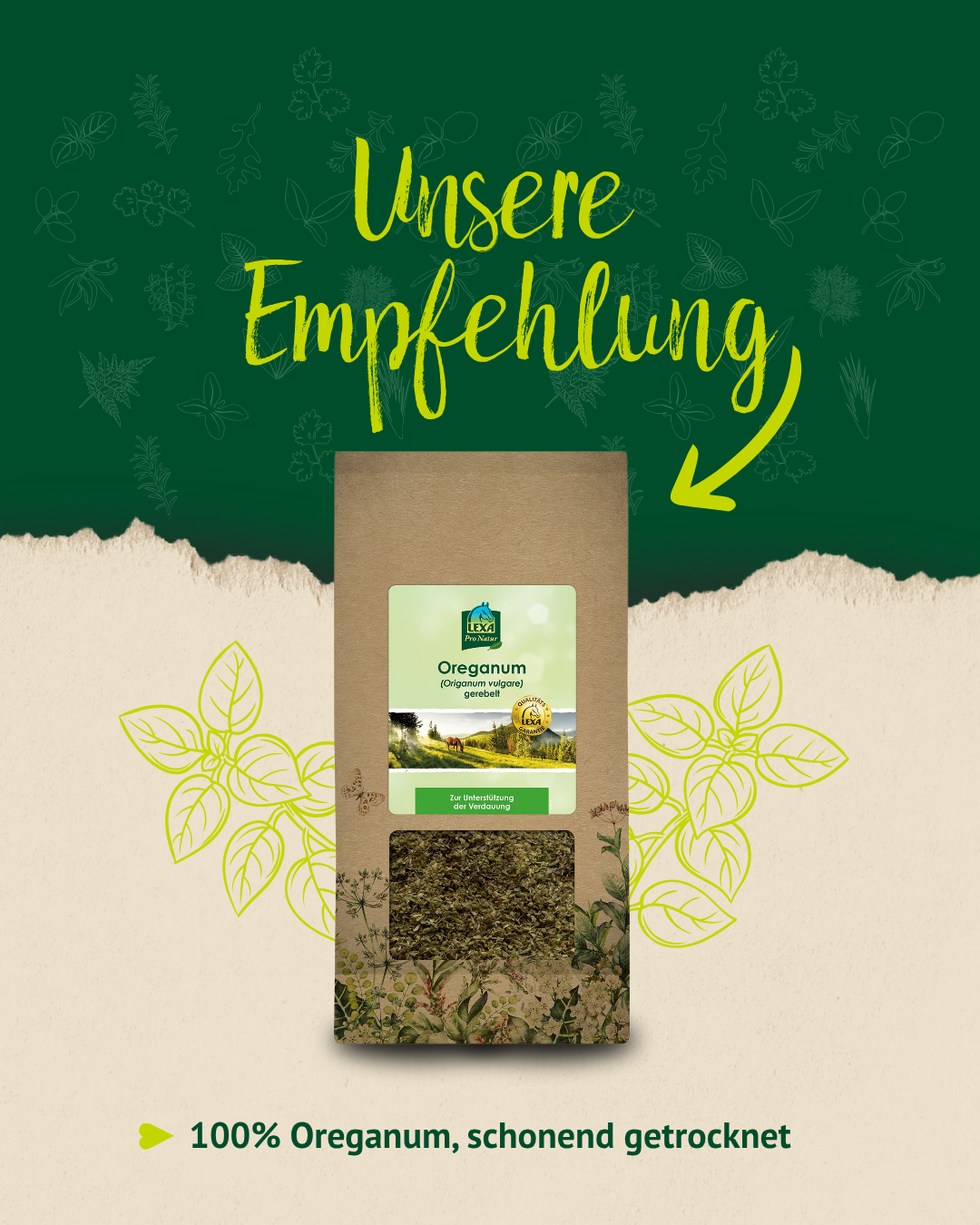 Produktempfehlung Oregano getrocknet – 100% naturbelassen für dein Pferd