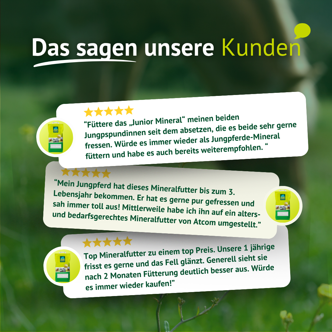 Drei positive Kundenstimmen zum LEXA Junior-Mineral Futter, die die Akzeptanz des Futters, das gute Aussehen der Jungpferde und glänzendes Fell hervorheben.