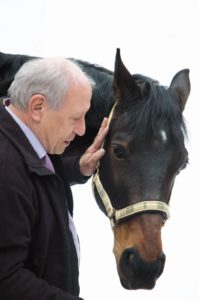 Warum Pferdefutter von LEXA?