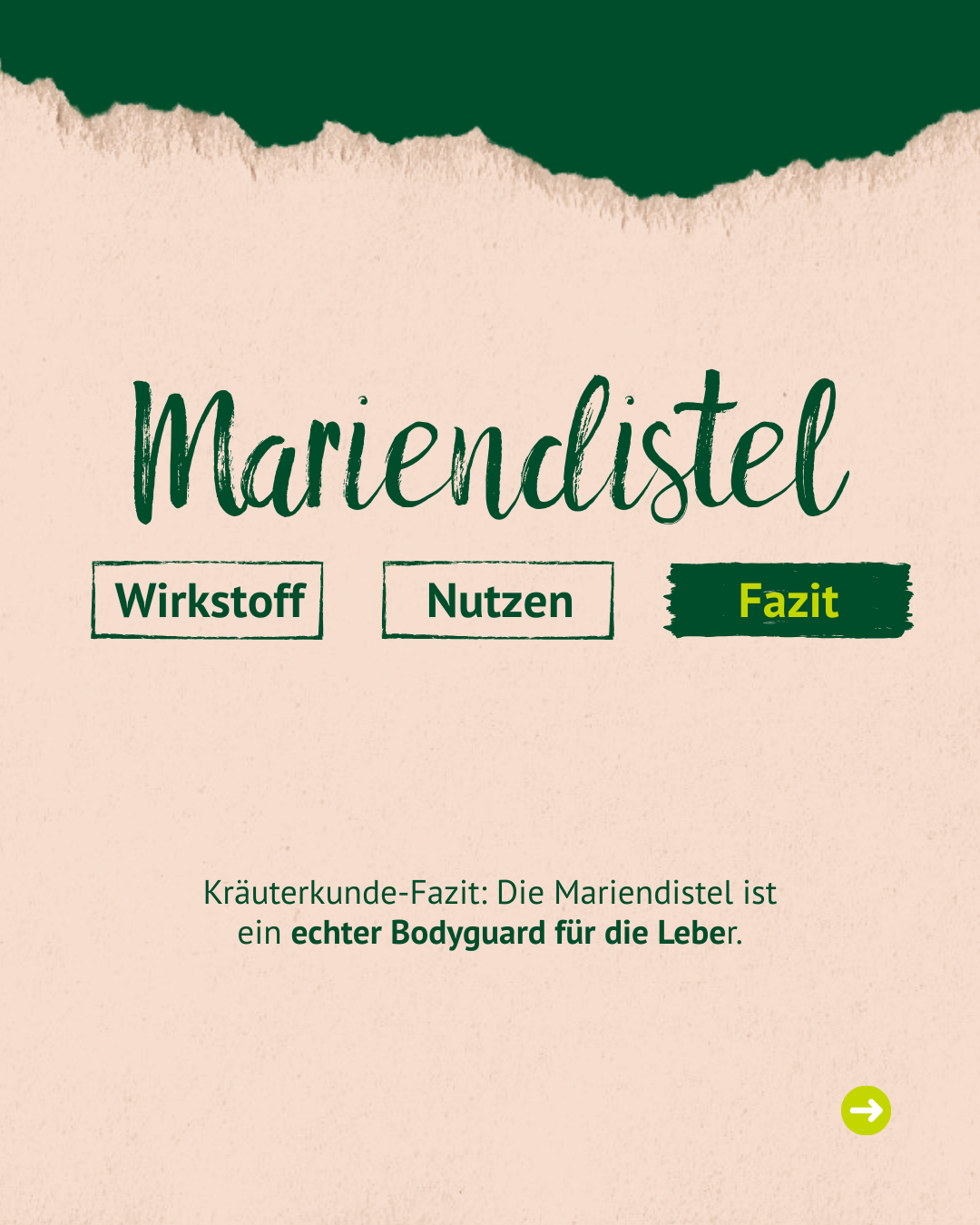 Bild mit Text zum Mariendistel Bild mit Text zum Mariendistel