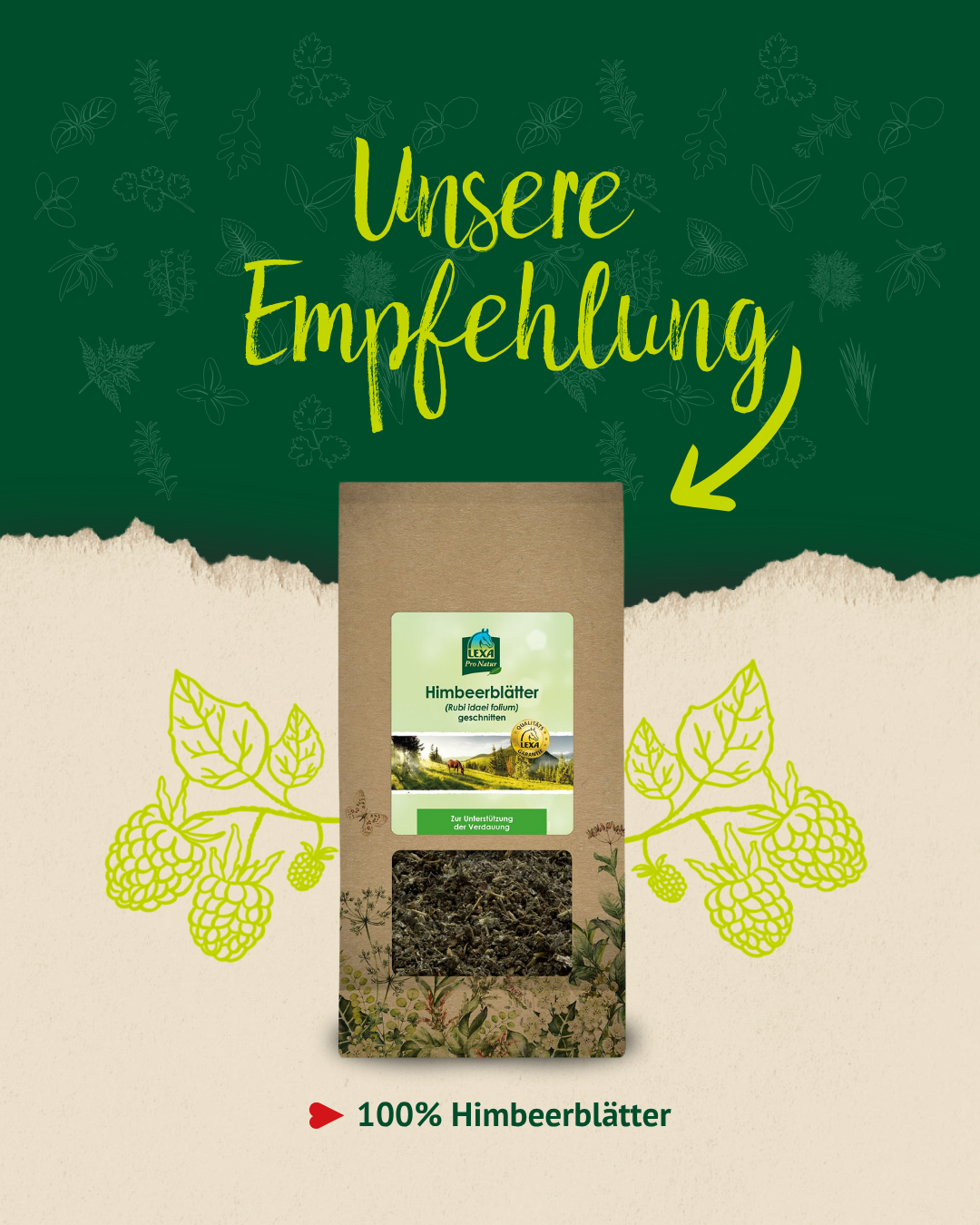 Produktempfehlung für getrocknete Himbeerblätter mit Verpackung, Himbeerzeichnungen und Hinweis auf 100 Prozent Himbeerblätter.