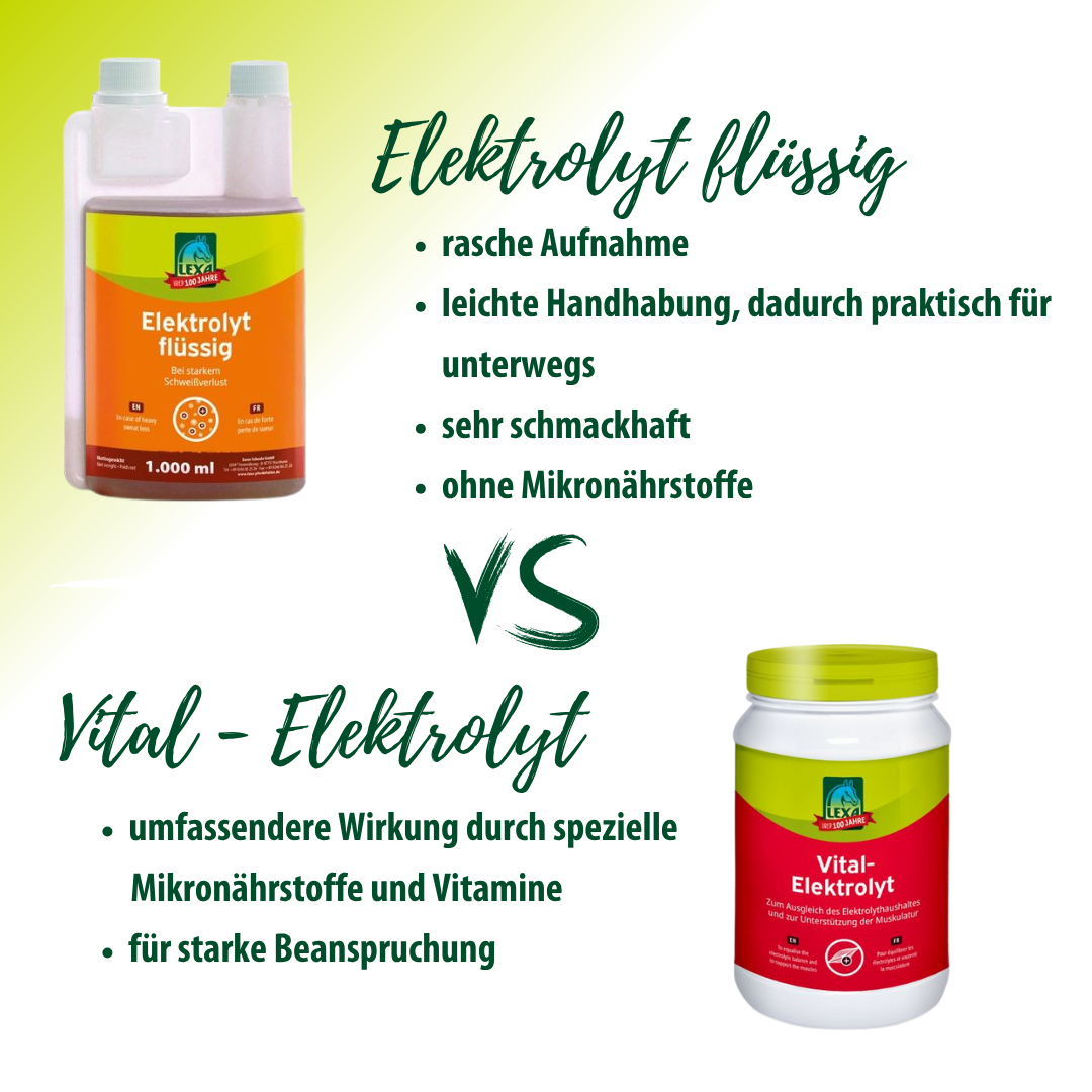 Vergleich Eletkrolyt