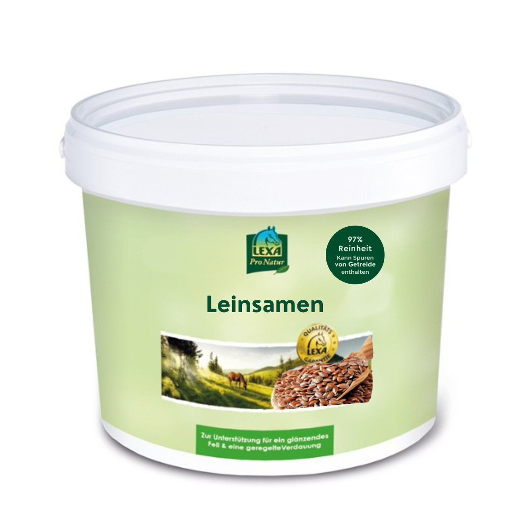 Leinsamen, braun