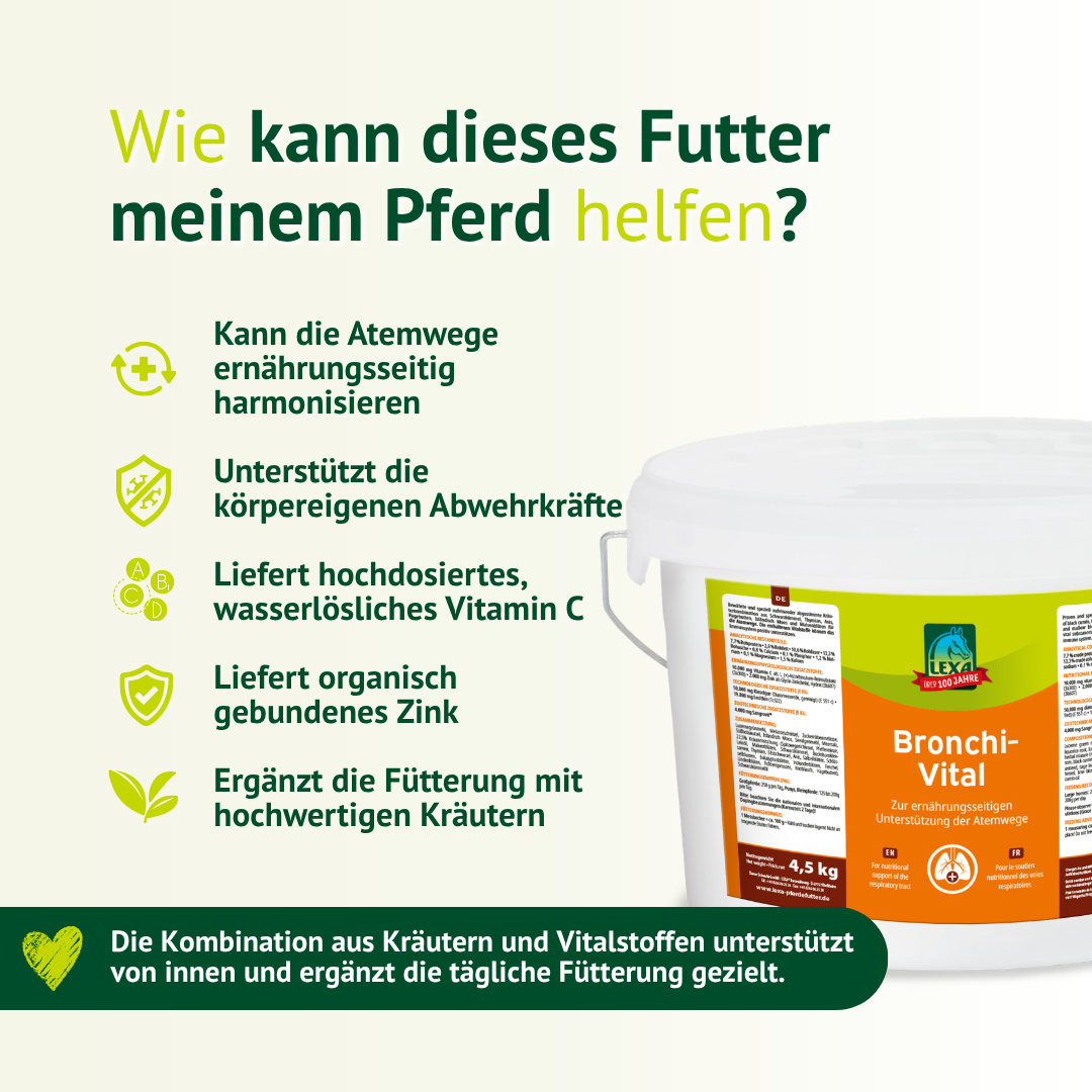 Bronchi Vital unterstützt Atemwege, Immunsystem und Vitalität beim Pferd mit Vitamin C und Zink
