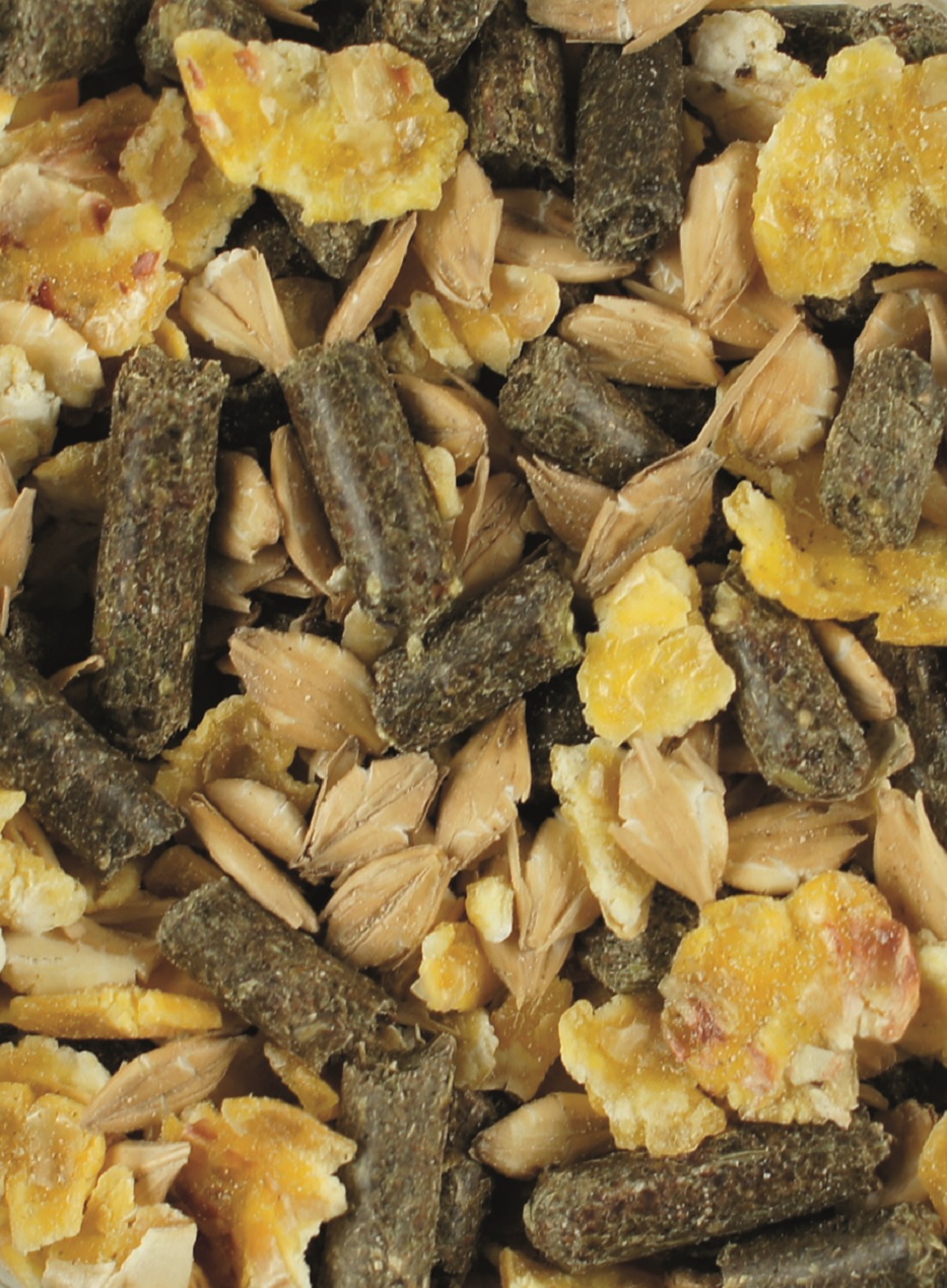 Vogelfuttermischung Eine Mischung aus verschiedenen Vogelfutterbestandteilen, darunter Sonnenblumenkerne, getrocknete Früchte und Pellets.