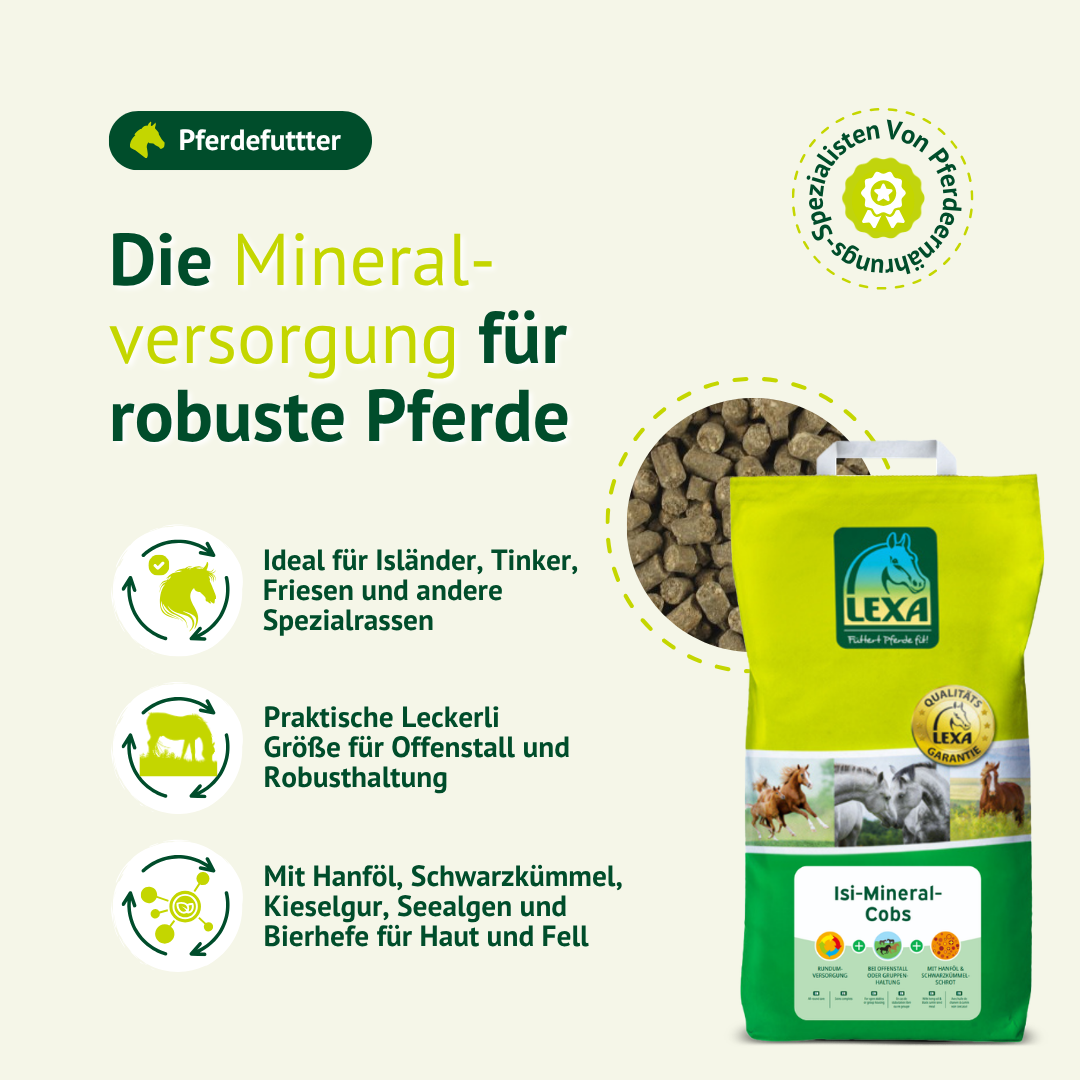 LEXA Isi-Mineral-Cobs für robuste Pferde wie Isländer, Tinker, Friesen und Spezialrassen mit praktischer Mineralversorgung ohne zusätzliches Kraftfutter.