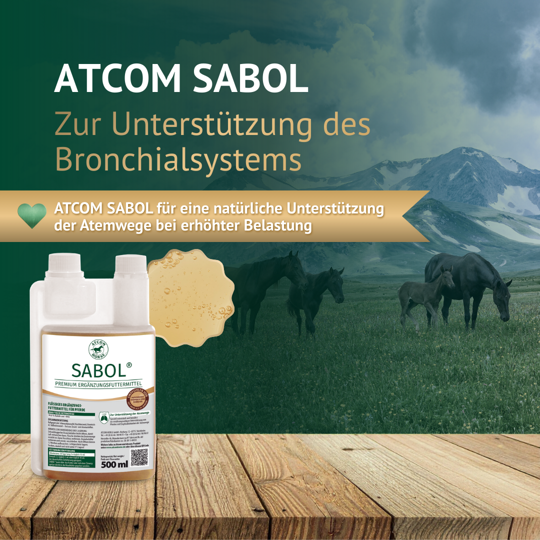 ATCOM SABOL zur Unterstützung des Bronchialsystems vor natürlicher Berglandschaft mit Pferden