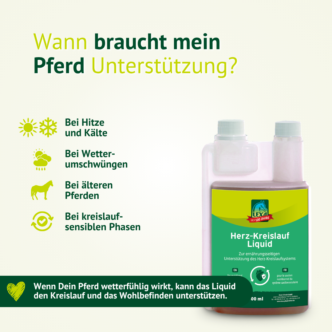 LEXA Herz-Kreislauf Liquid als Unterstützung für Pferde bei Hitze, Kälte, Wetterumschwüngen und kreislaufsensiblen Phasen.
